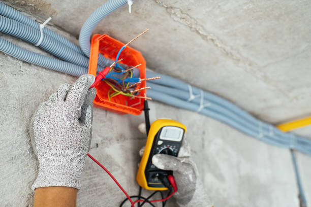Best Electric Panel Repair  in Milford, DE
